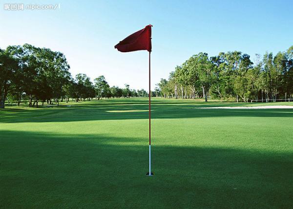 Buy cheap Durable 13mm Tennis / Golf Artificial Grass Synthetic Turf UV Resistance from wholesalers