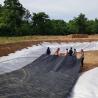 Buy cheap Fish Farming Pond Liner Sheet Made of High Density Polyethylene for Aquaculture from wholesalers