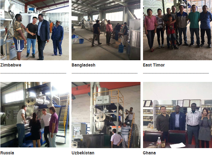 Fully Automatic Twin Screw Extrusion Kibble Dog Food Processing Plant Line for Dogs