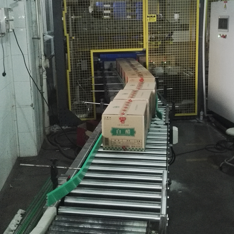 LeadWorld Automatic Stacking Packing Line Servo Driven Palletizer