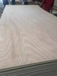 wholesale 3.5mm 5.5mm 6.5mm 8.5mm best price commercial plywood