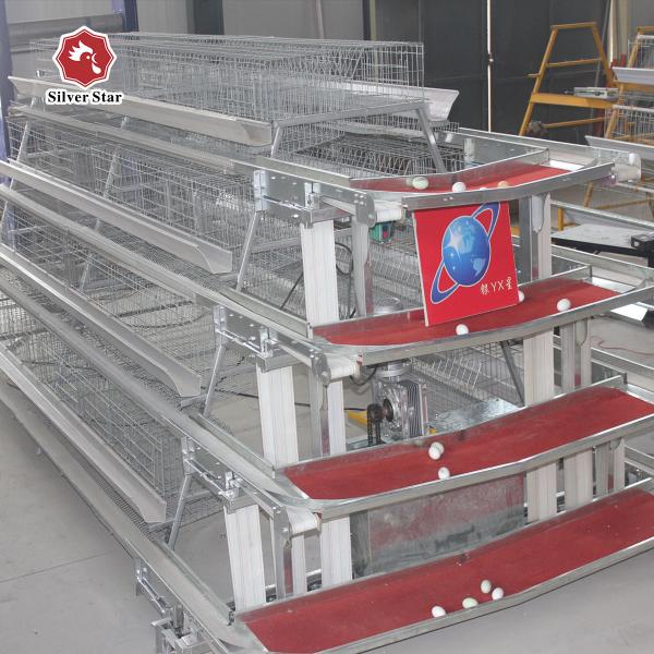 Buy cheap Big Door Size Hens Chicken Layer Battery Cage 90 Birds / Set from wholesalers