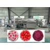 Buy cheap Efficiency Professional Freeze Dehydrator With Cold Trap -40℃ from wholesalers