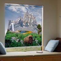 Buy cheap Adjustable Custom Printed Roller Blinds Vertical Blinds Window Treatment product