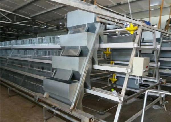 High Corrosion Resisten Automatic Chicken Cage Wire Poultry Cages Easy To