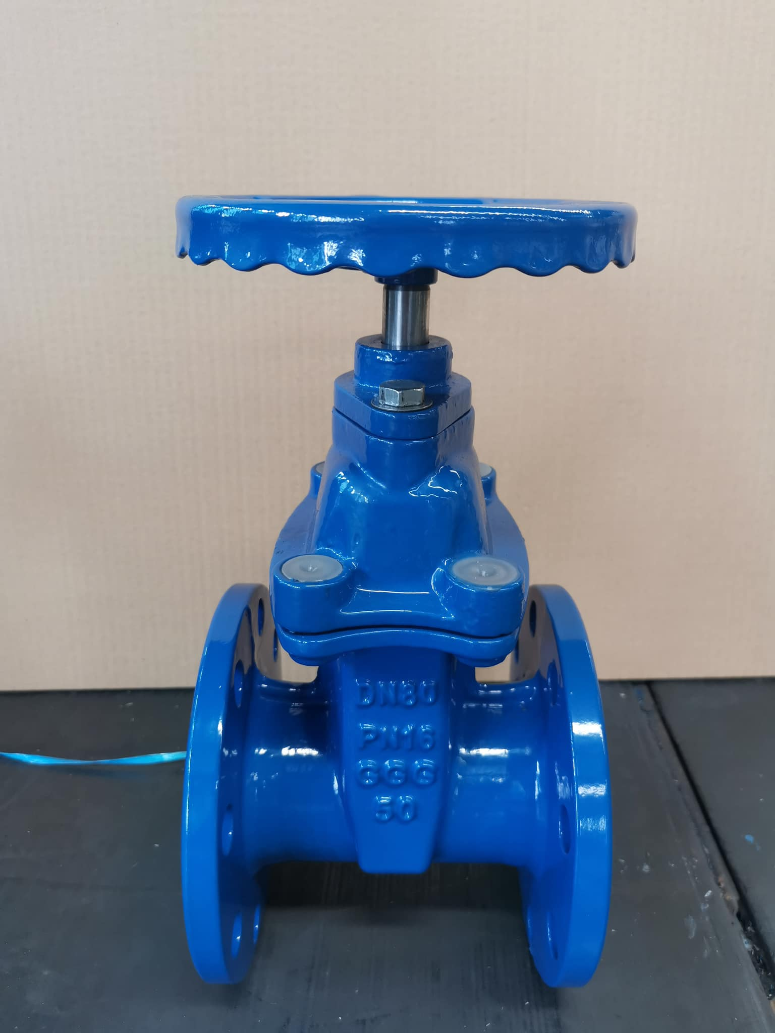 Water Media DN600 PPR Fitting Gate Valve with OEM Flexibility Offered