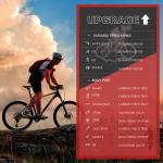 2x12 Speeds 29 Inch Carbon Mountain Bike SHIMANO DEORE XT M8100 for mens