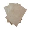 Buy cheap Construction Poplar 1250mm×2500mm Faced Birch Plywood from wholesalers