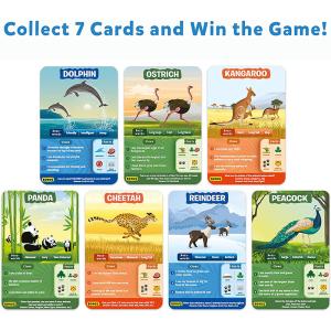 Buy cheap Super Fun for Travel & Family Game Night Custom design Wholesale OEM VN Supplier Playing cards product