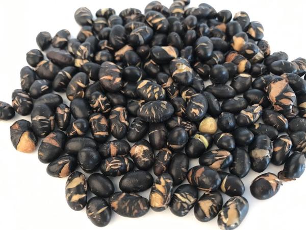 Vitamins Contained Soya Bean Snacks , Crispy Black Raw Soy Nuts Health