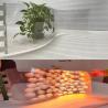 Buy cheap P3.9 P6.25 Indoor Holographic 70% Transparent LED Display 5000nits Brightness IP42 from wholesalers