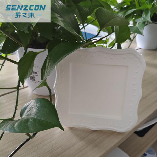 Ningbo factory exports high-end pulp molding products, including art photo