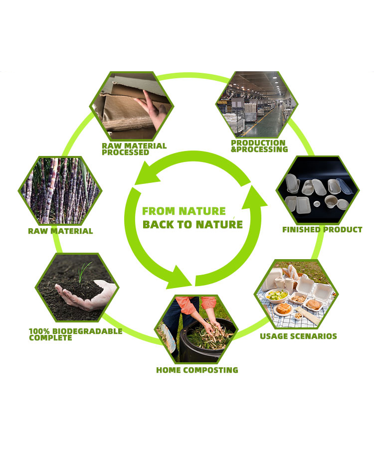 Eco Friendly Sugarcane Pulp Biodegradable Cups And Lids