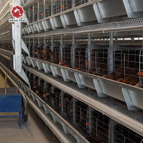 Buy cheap 1950*2300*1500 Hot Galvanized Laying Hens Cage Commercial Poultry Farming Equipment from wholesalers