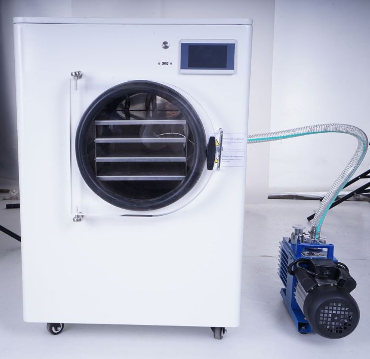 Air Compressor High Efficiency Bacteria Strain Freeze Dryer Industrial