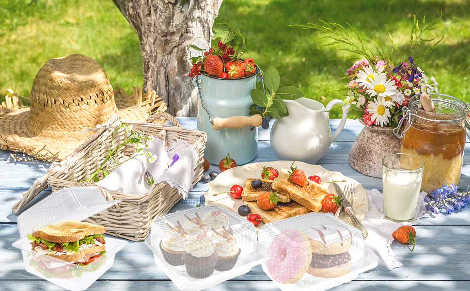 Square Hinged Food Cake Slice Container