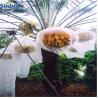 Buy cheap Dubai 70*90cm 80*100cm PE Protection Date Palm Net Bag for Dates Palm Fruit Packaging from wholesalers