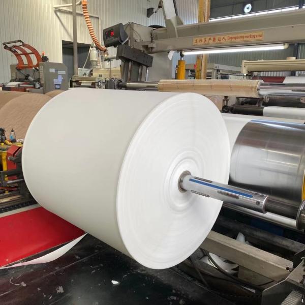 Buy cheap Biodegradable Eco-Friendly PE Coated Paper Roll Cuatom Size And Printing from wholesalers