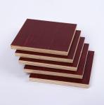 Bridge Construction Birch Faced Plywood 18mm 25mm Birch Plywood