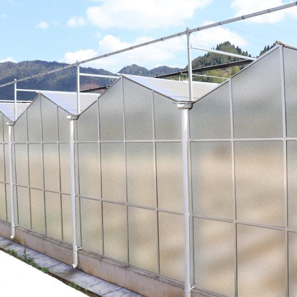 Buy cheap Agriculture Film Clear Polycarbonate Greenhouse Transparent Square Steel Frame Coating from wholesalers