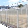 Buy cheap Agriculture Film Clear Polycarbonate Greenhouse Transparent Square Steel Frame Coating from wholesalers