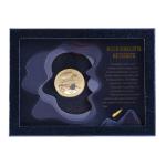 Rectangle Meteorite Display Box Coin Inlay Leather Glass Box For Collectible