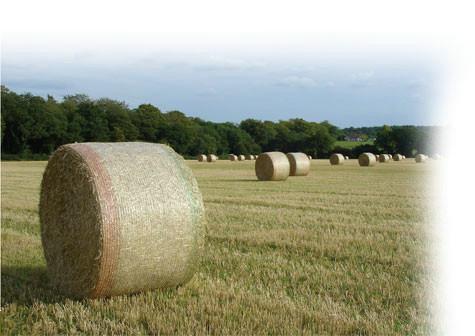 Buy cheap Hdpe Raschel Knitted Round Bale Net Wrap , Agriculture Hay Bale Net from wholesalers