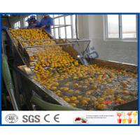 Buy cheap Energy Saving Orange Processing Line with Glass / PET Bottle Filling Machine product