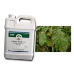 Microbial Agent CY30 Bacillus Velezensis Prevent Tea Plants Field Crops Disease