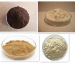 SS304 16000rpm Beer Brewery Spray Dryer Industrial Yeast Dryer Machine 200kg/H