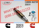 Fuel Injectors 2030519 Diesel Common Rail Injector for Scania PGRT 2003-2008 FKN