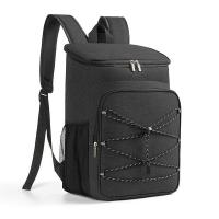 Buy cheap Custom Thermal Insulated Food Lunch Bags With Waterproof Cooler Compartment product