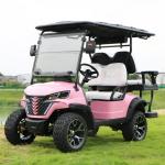 Modern 4 Seater Golf Cart for Family Outings and Group Tours Ground clearance