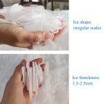 20 Tons Freshwater Flake Ice Machine Direct Cooling