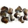 Buy cheap Wholesale Vacuum-packed 7-8mm A grade rice shape freshwater pearl oyster white natural Pearl Oyster from wholesalers