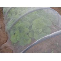 Buy cheap 16x16 Mesh Anti Insect Netting Hdpe raschel knitted , Transparent product