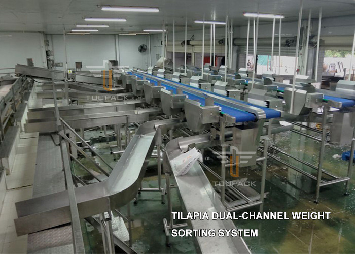 Fresh Live Fish 12 Grades Multihweight Sorter Machine Waterproof Grander Machine