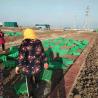 Buy cheap 400*420mm*66mm HDPE Grass Paver Grid for Noble Living Community and Gravel Stabilizer from wholesalers