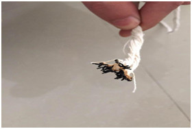 High Temperature PP Cable Filler Yarn / Polyester Sewing Thread Fishing PP Filler