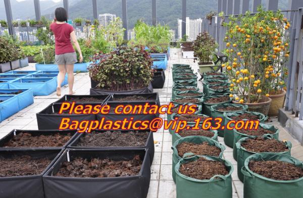 Buy cheap Vegetables Nursery Grow Bags, Garden Bags/Grow Bags/Hanging Plant Bags Planters Hydroponics Garden Container Planter from wholesalers