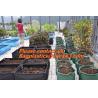 Buy cheap Vegetables Nursery Grow Bags, Garden Bags/Grow Bags/Hanging Plant Bags Planters Hydroponics Garden Container Planter from wholesalers