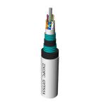 Double Armored Anti Rodent Fiber Optic Cable Nylon Out Jacket Anti Termite