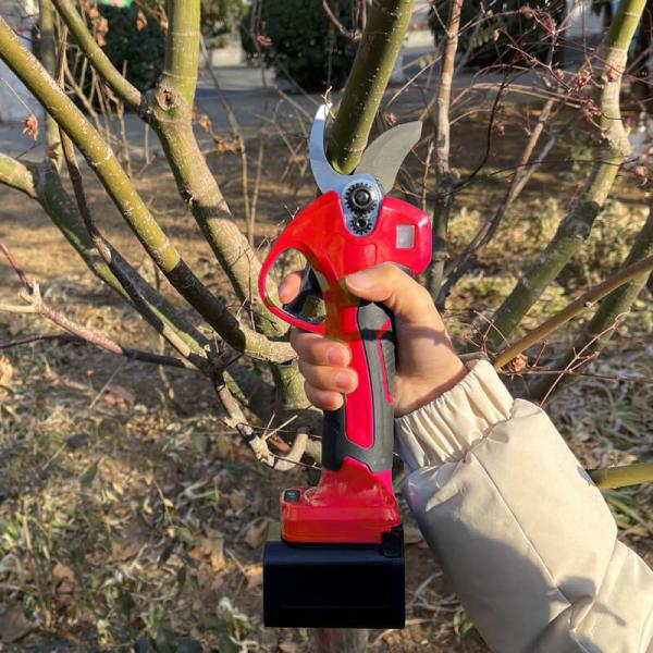 Buy cheap Long Reach Telescopic Pole Pruner Rechargeable Garden Tree Trimming Tools ODM OEM from wholesalers