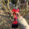 Buy cheap Long Reach Telescopic Pole Pruner Rechargeable Garden Tree Trimming Tools ODM OEM from wholesalers