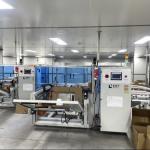 Canning Bean Processing Machine Canned Bean Production Line Canned Packing