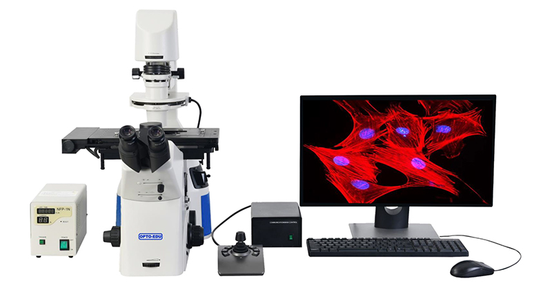 Full Motorized Opto Edu Microscope Semi APO BF / PH / PL / FL / DIC