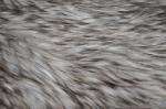 Patterned Artificial Long Hair Fur Fabric Jacquard Faux Fox By The Yard