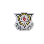 OEM ODM Fabric 25mm School Logo Iron On Patches For Sweatshirts