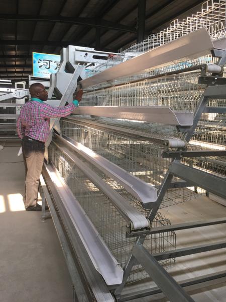 Buy cheap Poultry Agricultural Products Chicken Layer Cage For Broilers And Chicks from wholesalers