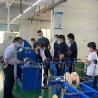 Buy cheap Custom Wire Manufacturers PVC Pipe Bandaging Materials for Optimal Performance from wholesalers